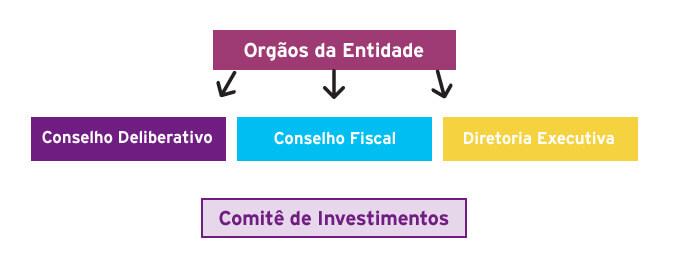 Órgãos da Entidade